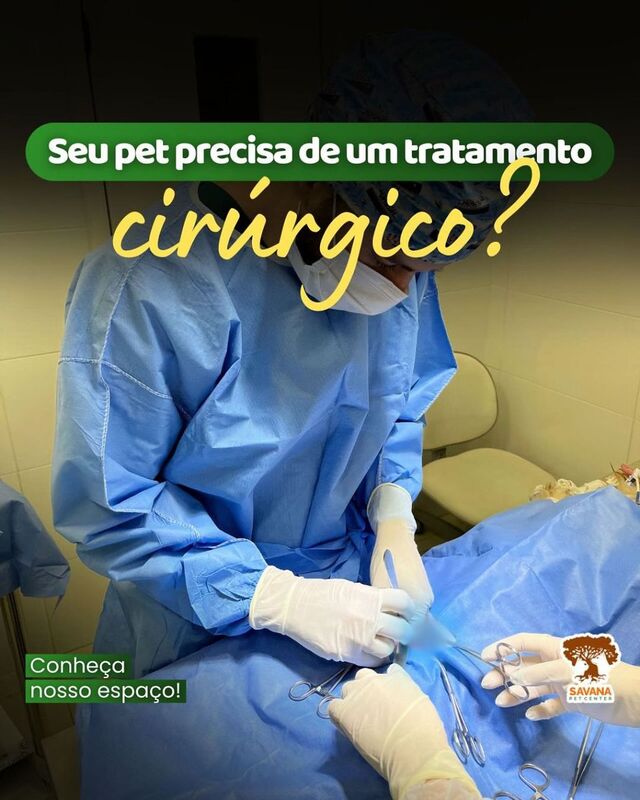 Imagem ilustrativa de Cirurgia ortopédica veterinária