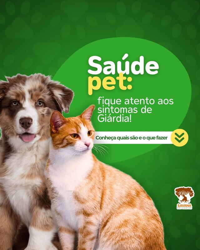 Imagem ilustrativa de Clinica pet em Guarulhos