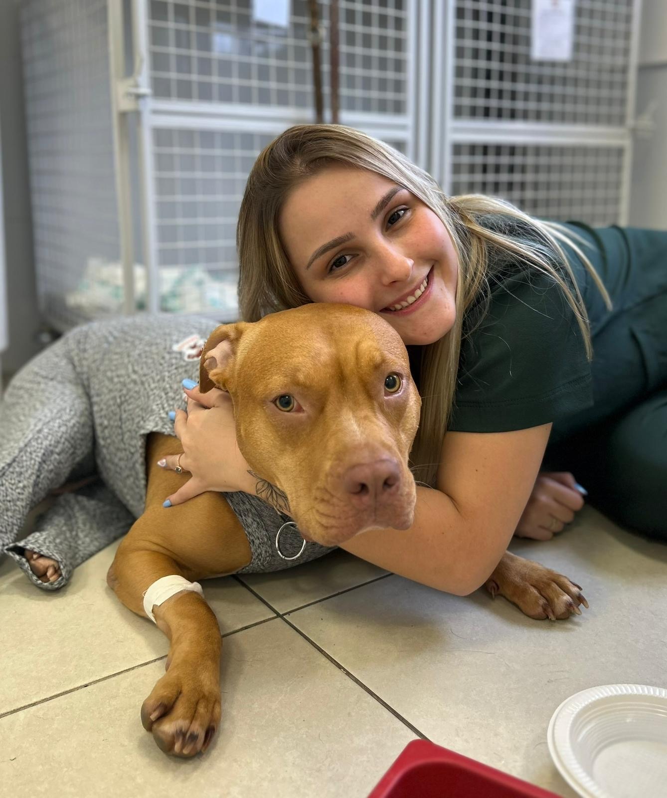 Imagem ilustrativa de Consulta com ortopedista veterinário para convênio Petlove