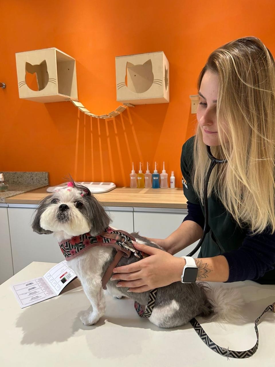 Imagem ilustrativa de Ortopedista veterinário para convênio Petlove em Guarulhos