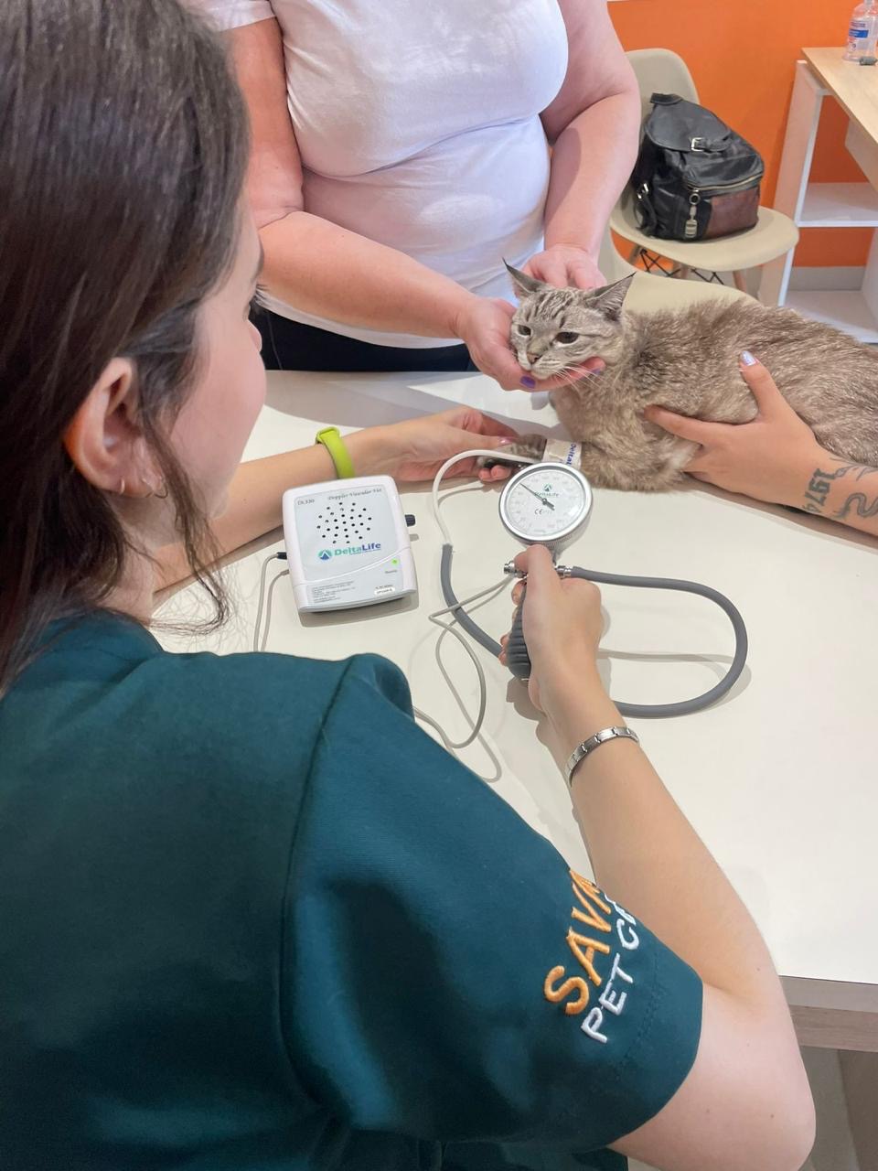 Imagem ilustrativa de Raio x veterinário em Guarulhos