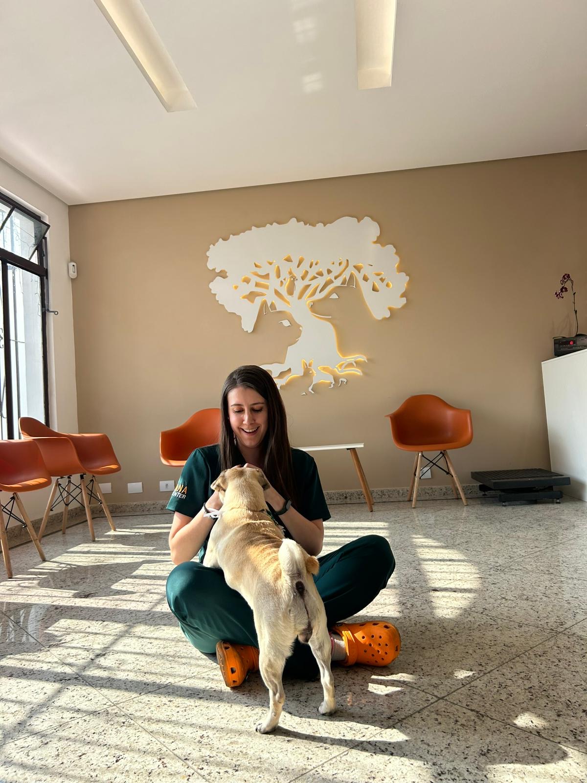 Imagem ilustrativa de Tosa de cão